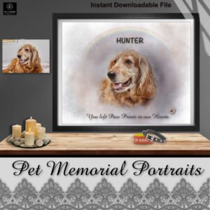 pet portrait
