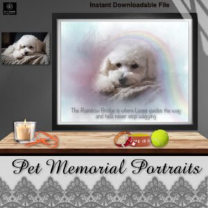 pet portrait