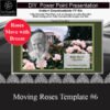 DIY Funeral presentation 6